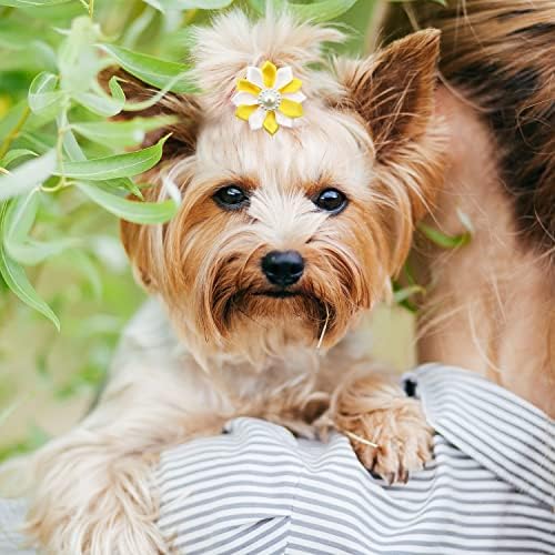 Sinling Renkli Yaprakları ile 60 Adet Köpek Saç Yaylar Kadın Pet Topuz Küçük Kız Köpek Yorkie Doggy Çiçek Kulak Yaylar