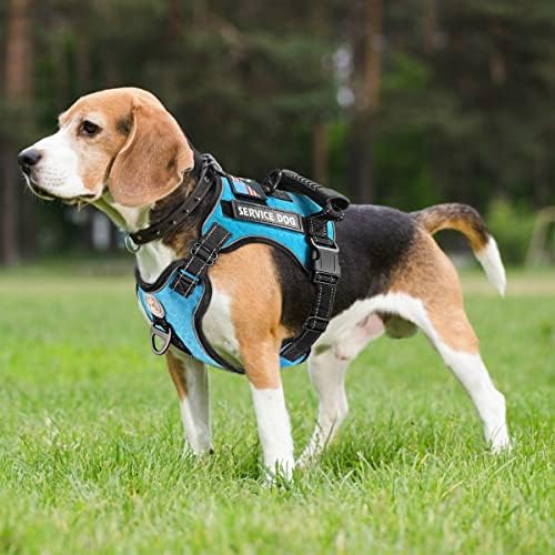 Cymiler Servis Köpek Yeleği, Çekmesiz Köpek Koşum Takımı ve Tasma Seti, Açık Yürüyüş Eğitimi için Saplı Ayarlanabilir