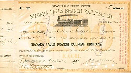 Niagara Şelalesi Şubesi Demiryolu A. Ş. - Stok Sertifikası